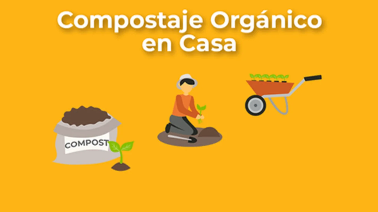 Curso Gratis: Compostaje Orgánico en Casa