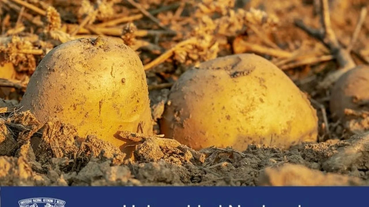 Curso Gratis en español: Seguridad agroalimentaria