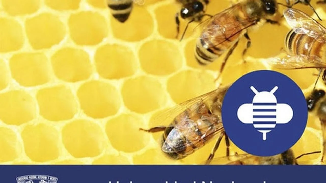 Curso Gratis en español: Introducción a las finanzas