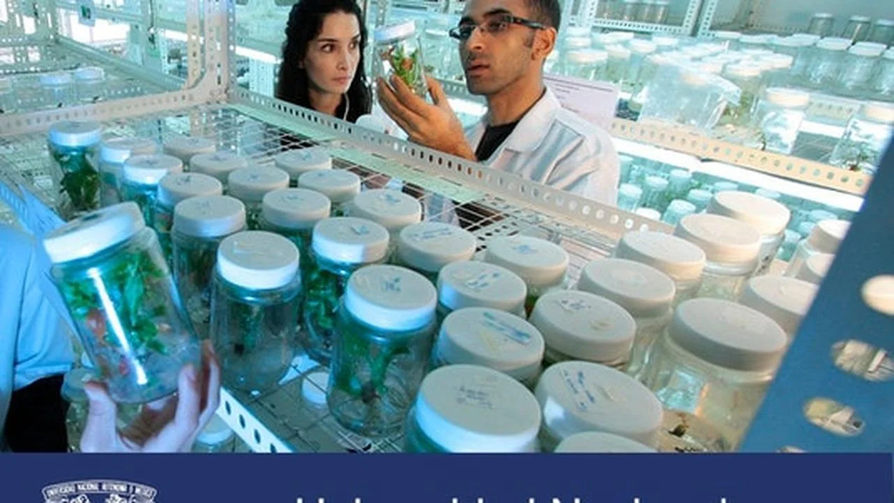 Curso Gratis en español: Innovación agroalimentaria