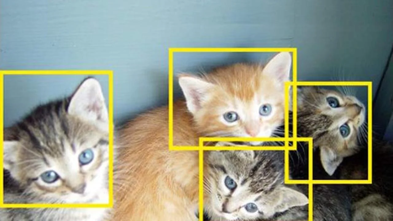 Curso Gratis en español: Detección de objetos