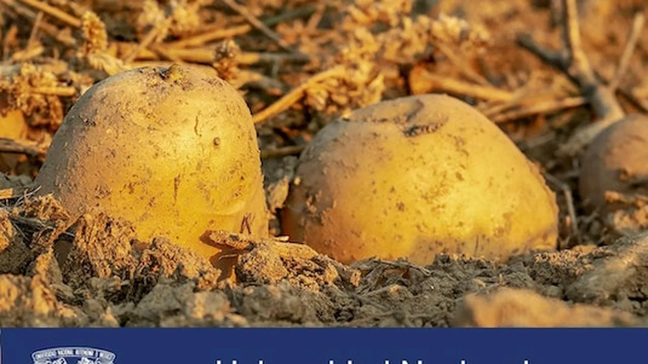 Curso Gratis en español: Seguridad agroalimentaria