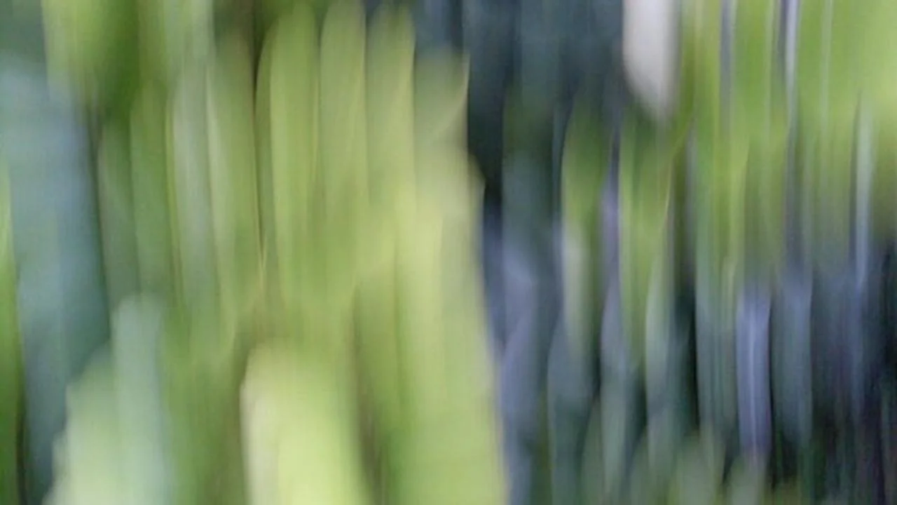 Curso Gratis en español: Sistemas difusos