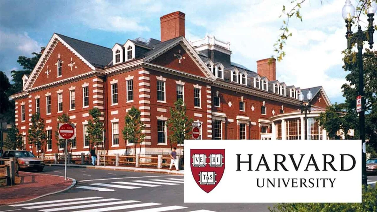 Más de 100 cursos gratis y en línea de la universidad de Harvard y que ya pueden ser tuyos