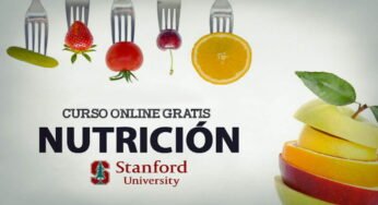 La universidad de Stanford ofrece acceso gratuito a su curso de salud y nutrición en línea