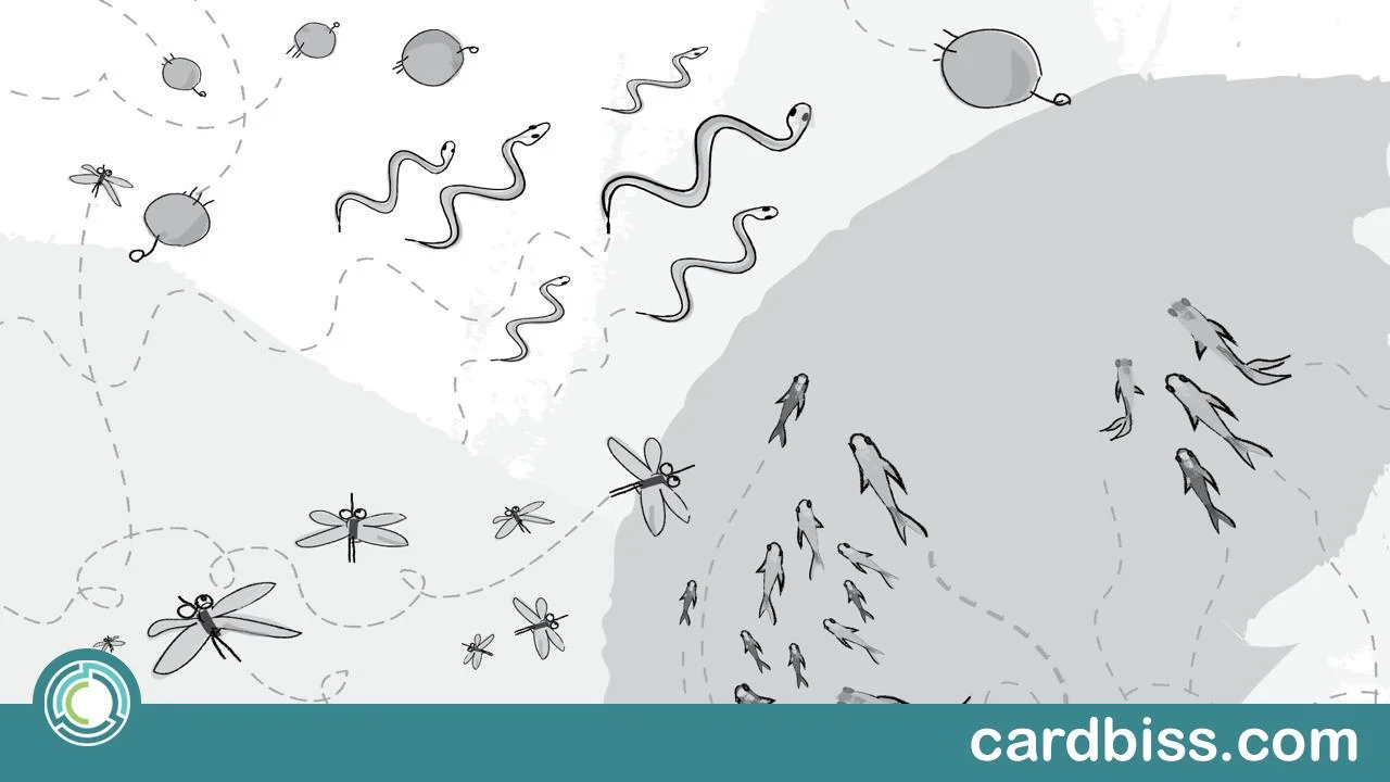 Curso gratuito de JS avanzado: simulaciones naturales