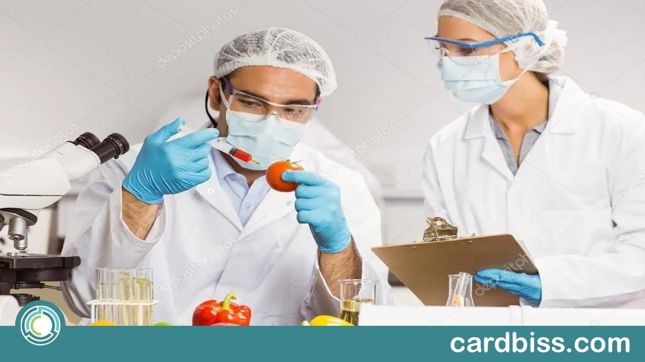 Aprende sobre la ciencia de la gastronomía en línea: Curso gratis