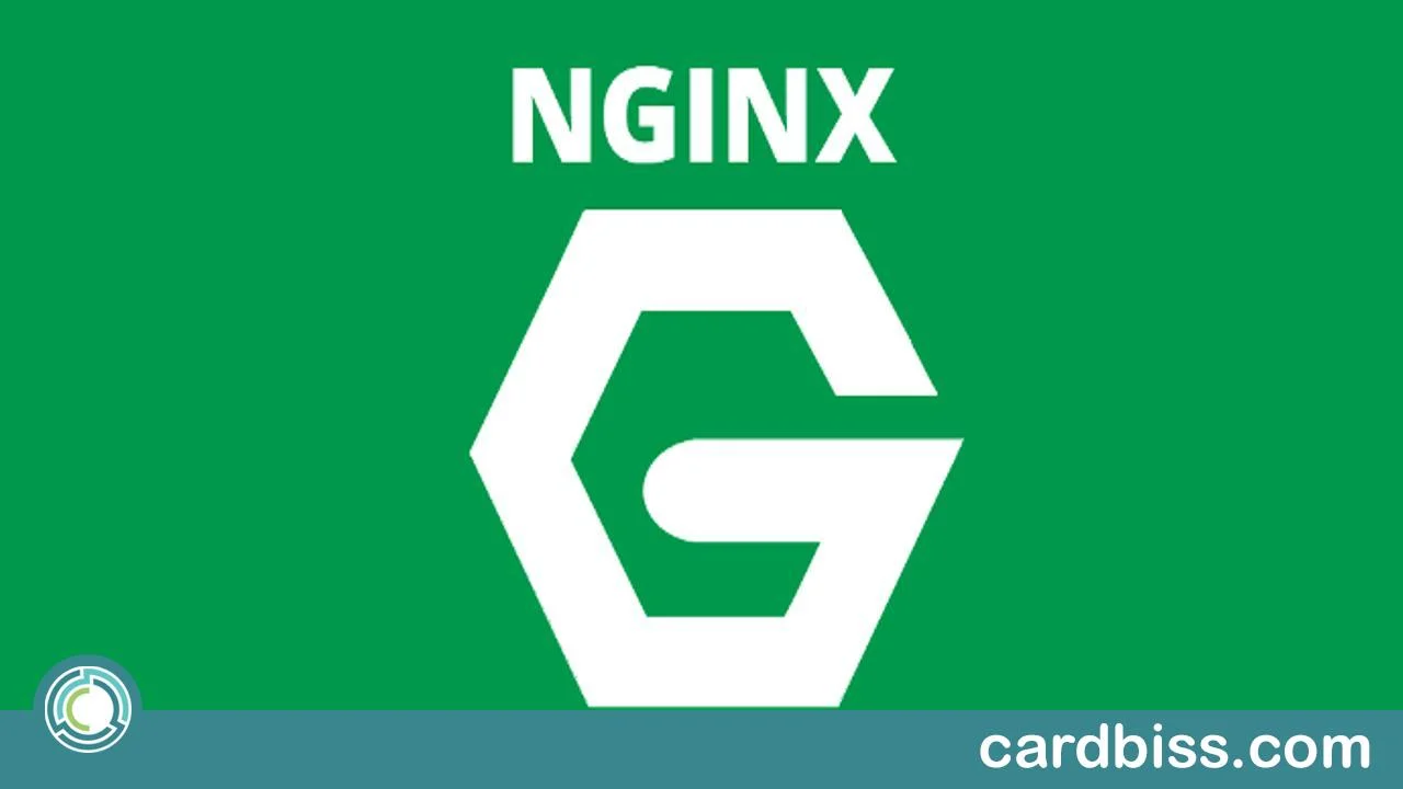 Maestría en NGINX: Aprende a dominar el poderoso servidor web