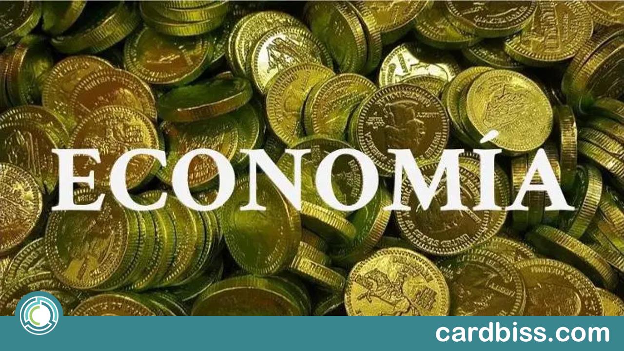 Descubre cómo dominar la economía en una hora: Curso gratuito para emprendedores y traders novatos