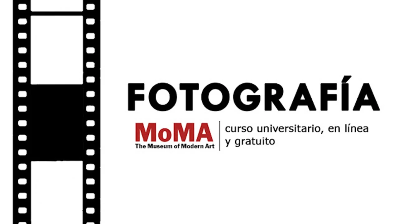 MoMA lanza curso gratuito de Fotografía en línea: ¡aprende a ver el mundo a través de las imágenes!