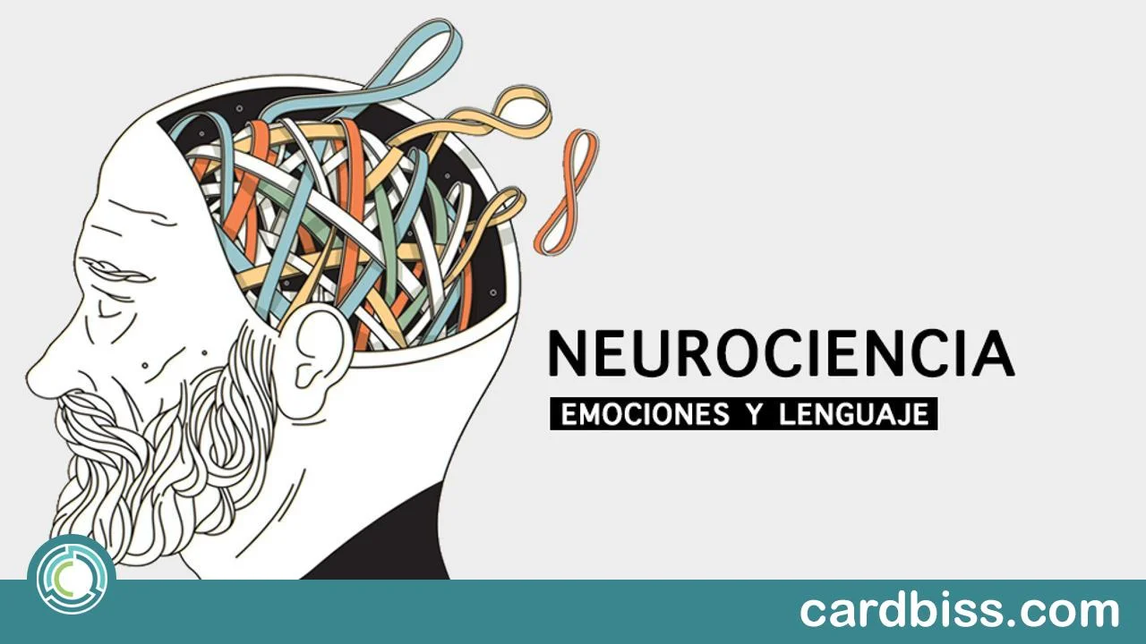 ¡Inscríbete ya! La Universidad Duke ofrece curso online gratis de Neurociencia Médica de 13 semanas