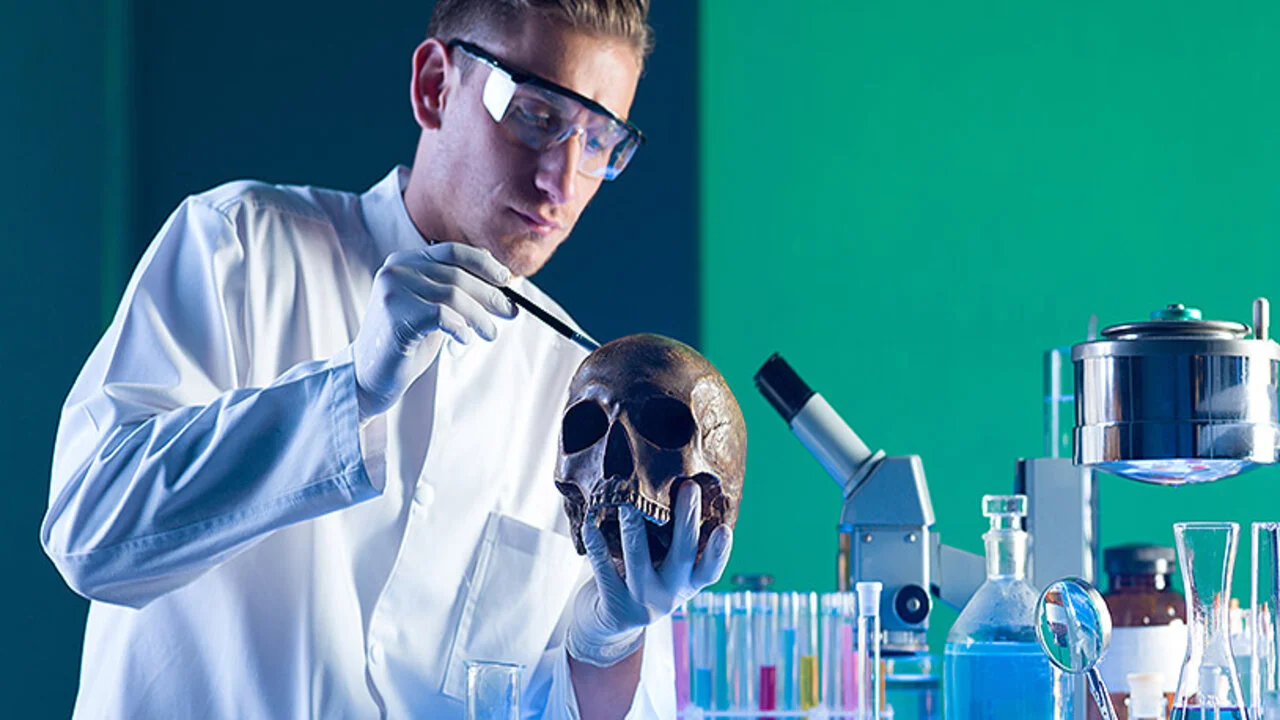 Descubre los secretos ocultos detrás de la ciencia forense en este curso online ¡Inscríbete ahora!