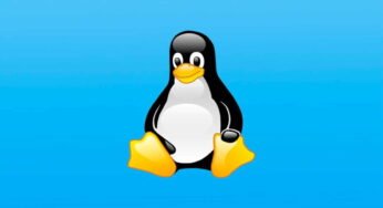¡Aprende a utilizar Linux sin traumas con este curso gratuito de Fedora Linux! ¡Descubre cómo dominar GNU/Linux fácilmente!