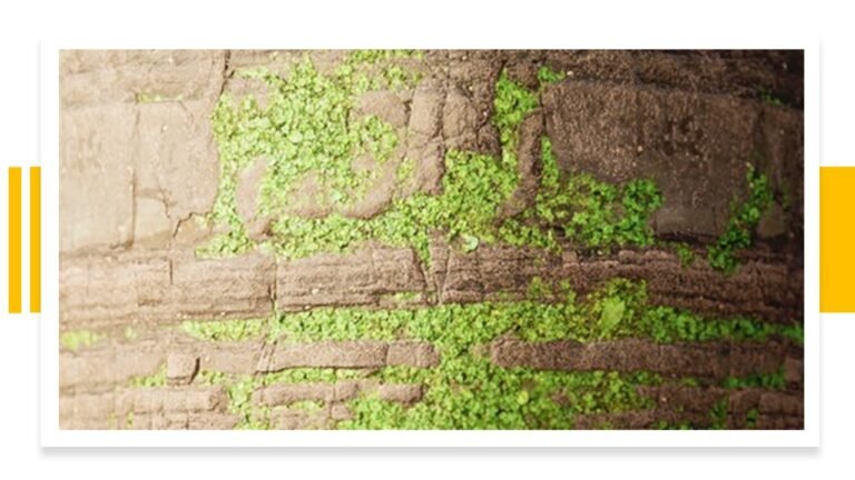 Curso Gratis de Unreal Engine