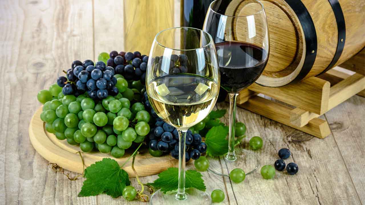 Master the Art of Winemaking: Free Online Viticulture Course